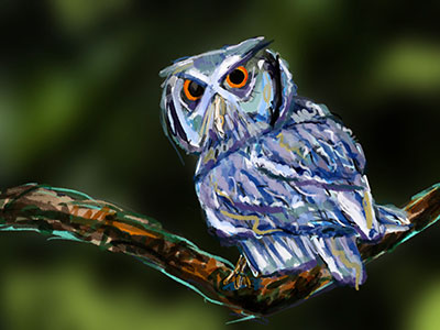 Owl